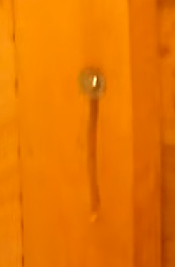 б9
